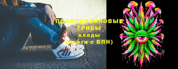 соль ск Алзамай