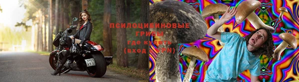 каннабис Алексин